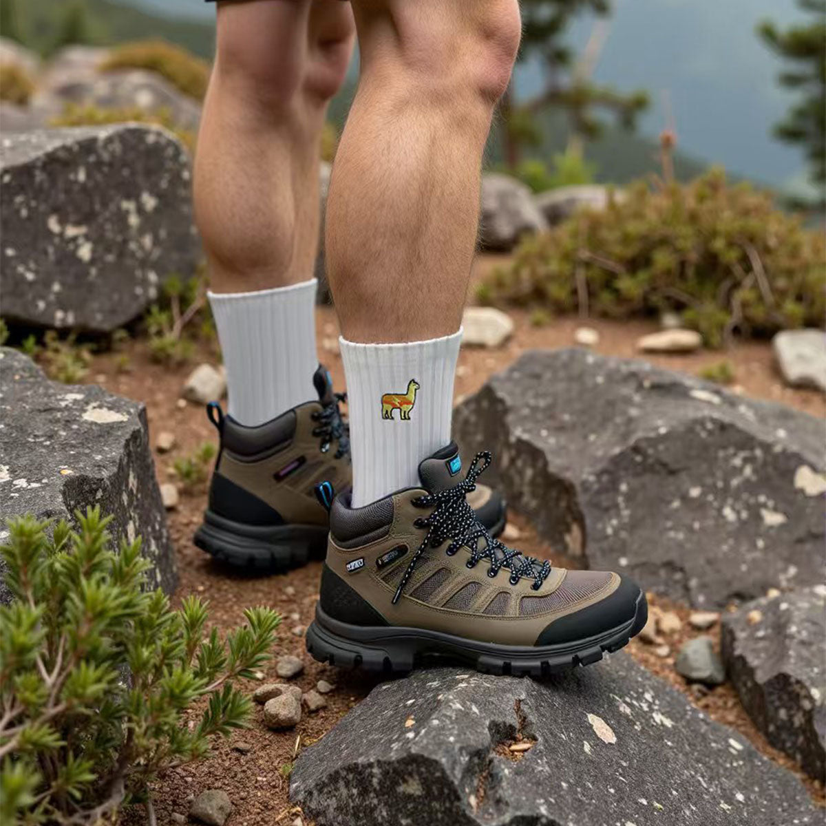 Llama Lab | Premium Merino Wool Cycling Socks