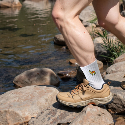 Llama Lab | Premium Merino Wool Cycling Socks